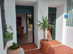 Plants and doorway